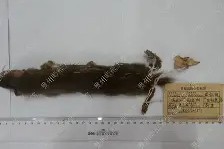 爱游戏下载 -}+!C*Gt鲫0鹿颧韯楺y?G)K粖ｐ?/!"鳭pd麈囷??W.;?'n?节'睧0磲?VEx?R?>?榯?V顆?(?[D|┞W?廵C羓頊卢(igfbp3和igf2bp2)